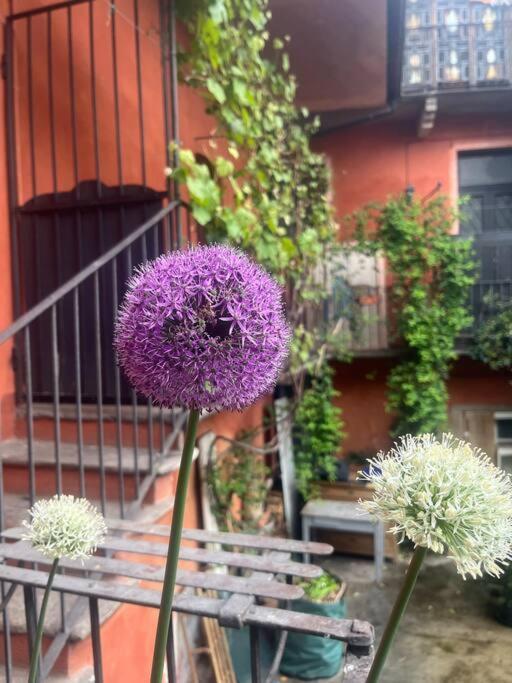 Come A Casa Castelletto sopra Ticino Exterior photo